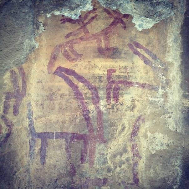 Древние наскальные рисунки в ущелье Виттурзивалу