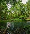 A photo exhibition dedicated to the unique nature of the Samur National Park will open in Derbent